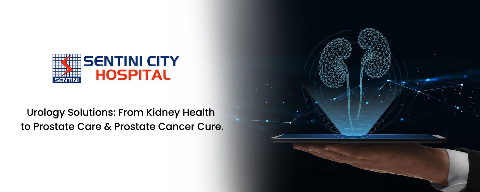 Urology Solutions: From Kidney Health to Prostate Care and Prostate Cancer Cure